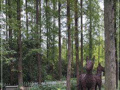 -东平国家森林公园