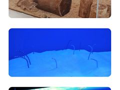 -海合安武汉极地海洋公园