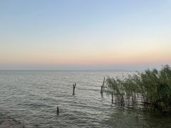 -宾湖农庄·农场特色(太湖龙之梦店)