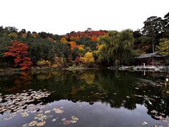 -香山公园