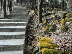 -火炉山森林公园