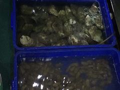 -QQ海鲜餐厅