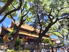 -普陀山慧济禅寺