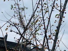-下塘街25号农家菜馆(新场店)