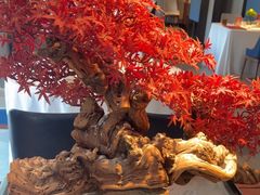 -顺峰(农展馆店)