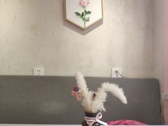 -Miss Fresh轻食(南京西路店)