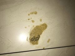 -美联众合动物医院·伴可分院·内科中心医院