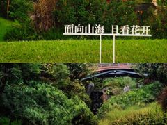 -云溪植物园