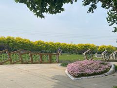 -石家庄市植物园