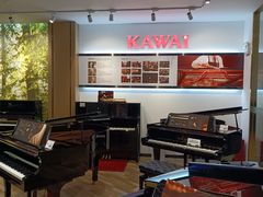 -柏斯琴行(汾阳店)