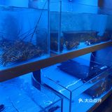 一人一小锅 快乐吃海鲜