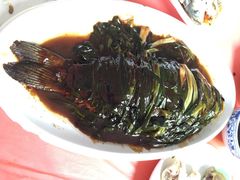 iphone_upload_pic-晓琦农家菜馆·地道农家菜