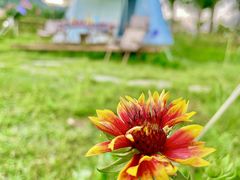 -禅宗少林·音乐大典