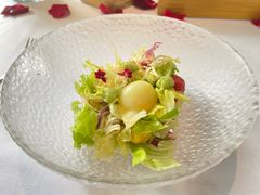 -蝶舍·MAISON PAPILLON