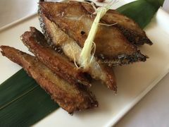 -新花城蟹粉馆(乌鲁木齐店)