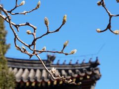 -颐和园