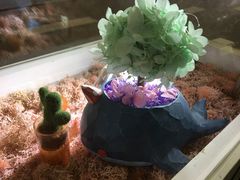 -Summer House夏莫手工坊团建活动(世博源店)