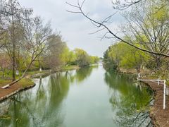 -梁鸿国家湿地公园