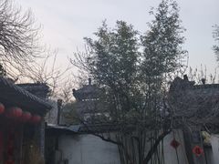 -老张烤羊(王哥庄店)