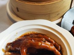 -新雅粤菜馆(南京东路店)