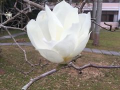 -广东温泉宾馆