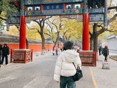 -北京国子监胡同