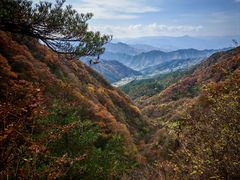 -王顺山国家森林公园