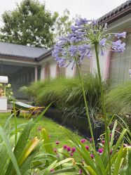 -爱儿美儿童摄影(朝阳公园店)