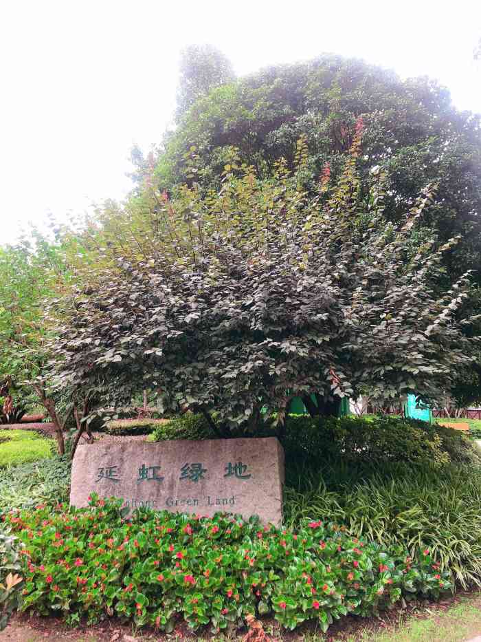 延虹绿地-"每天上下班会经过,绿地内绿化品种较多,小.