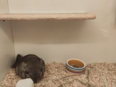 -龙猫仔乐园(惠福东路店)