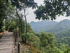 -南山植物园
