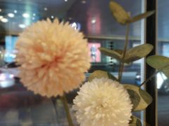 -哈根达斯(卓展店)