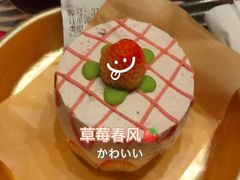 -野草莓自由市场