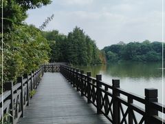 -海珠湖公园