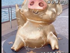 -星光大道