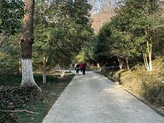 -南山风景名胜区