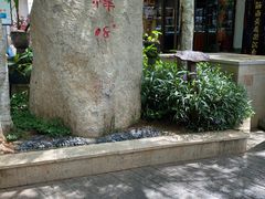 -亚龙湾热带天堂森林公园