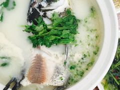 -天乐农家鱼头王(天目湖店)
