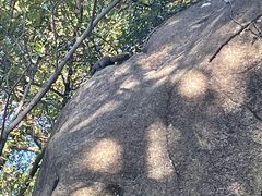 -大罗山风景区