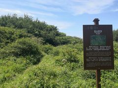 -王顺山国家森林公园