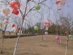 -西安浐灞国家湿地公园