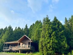 -武陵山森林公园