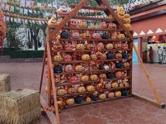 -郑州方特梦幻王国