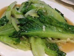 生菜-海上驿站渔家菜馆