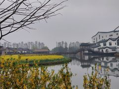-乌村