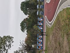 -瑶湖郊野森林公园