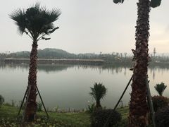 -枫香湖儿童公园