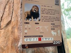 -武汉动物园