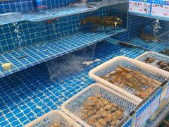 -徽三说·土徽菜·中国徽菜连锁品牌(一中店)