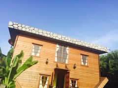 -金山农民画村-枫泾波兰倒置屋